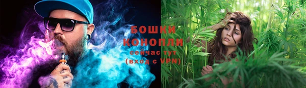 ПСИЛОЦИБИНОВЫЕ ГРИБЫ Остров
