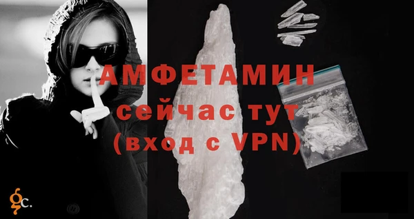 прущие грибы Пересвет