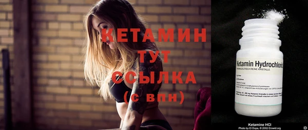 прущие грибы Пересвет