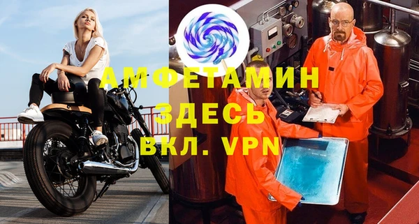 прущие грибы Пересвет
