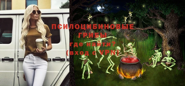 Альфа ПВП Осинники