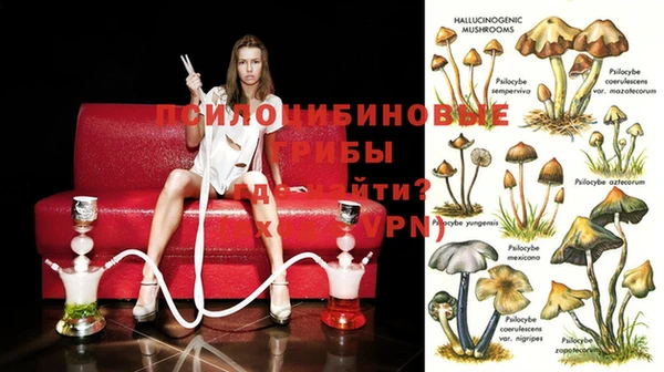 эйфоретик Переславль-Залесский