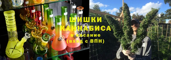 Альфа ПВП Осинники