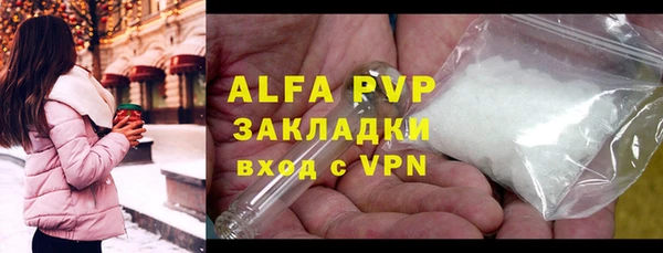 прущие грибы Пересвет