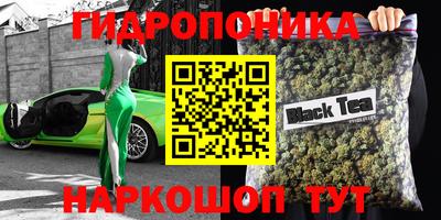 амф Вязьма