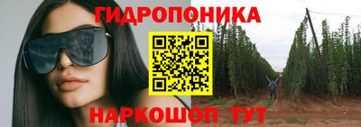 бошки Будённовск