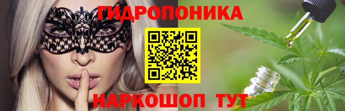 Каннабис Amnesia  Бошки марихуана VHQ  Архангельск  Бошки Шишки сатива  Марихуана планчик 